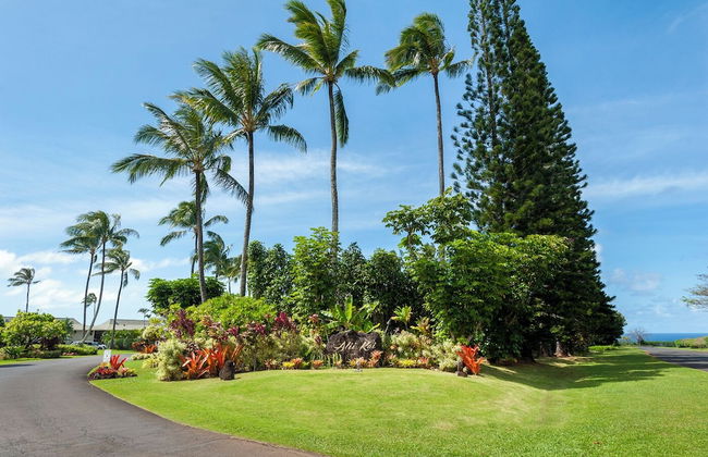 Alii Kai II 10A - Foto 20