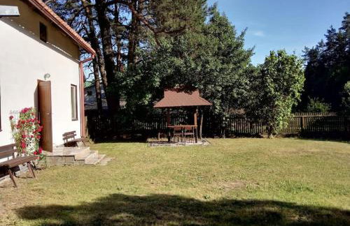 Wigierska Chatka - Foto 21