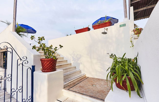 Hotel Suites Ixtapa Plaza - Foto 15