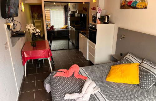 Résidence Les Alizés ''JACCUZI SAUNA PISCINE en plein centre ville" - Photo 8