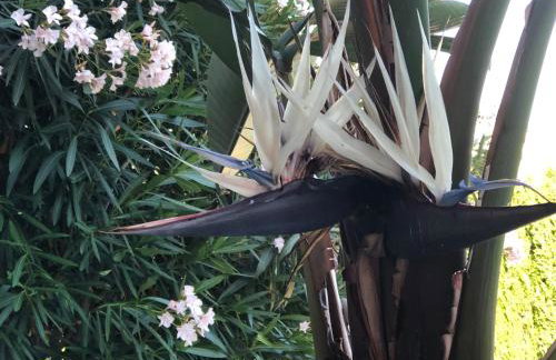 Denia Deluxe Chillout Experience - Foto 48