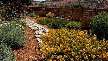 Halcyon Panorama Villas - Foto 3, Garden view