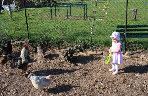 Landhaus Questin - Photo 29