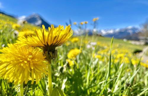 Fewo Längerer - Foto 16