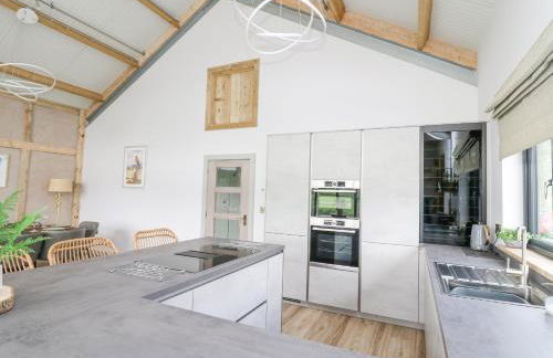 Barcud Coch - Red Kite - Photo 12