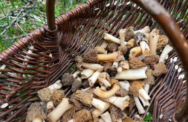 Beau chalet moderne 12p - Risoul village -My lodge - Foto 71