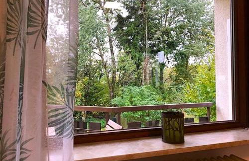 Fewo Sunneschii, Höchenschwand, Dorf am Himmel, Sauna im Haus - Foto 8