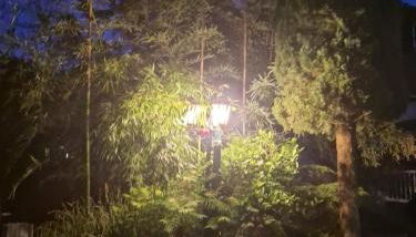 Disneyland Paris house for 6 people - Foto 3