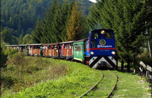 Apartament z tarasem i pokoje KLIMATYZOWANE -Drozdówka Solina - Foto 63