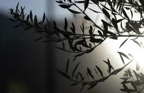 Ethos Retreat, Luxury Villas - Foto 32