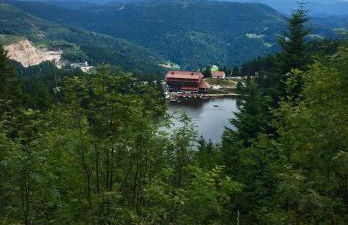 Blackforest Apartment - Foto 28