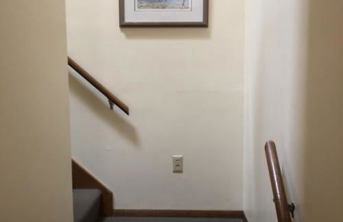 The Rushes - Foto 103