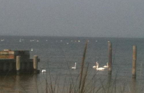 Chill Fire Island Beachfront Cottage with Amazing Bay and Sunset Views, Perfect Location in Fair Harbor - Foto 7