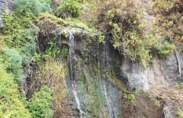 Exotic Ocean View Apartment - Foto 25