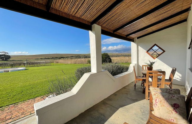 Endless Vineyards at Wildekrans Wine Estate - Photo 13