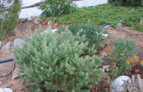 Thelea Mani - Foto 58