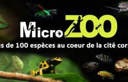 Emeraude - Pause - Foto 23