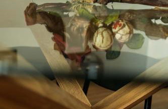 Casa de Campo Gracinda - Foto 13