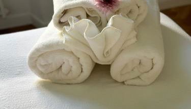 Bright House appartamento Roma - Foto 5, towels