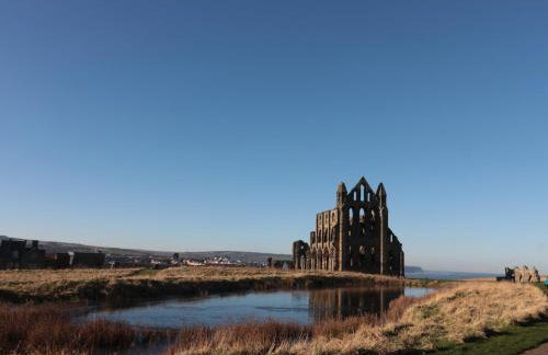 Fauna's Corner - Foto 27