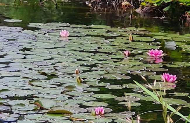 Maarchalet Modern Retreat - Photo 37