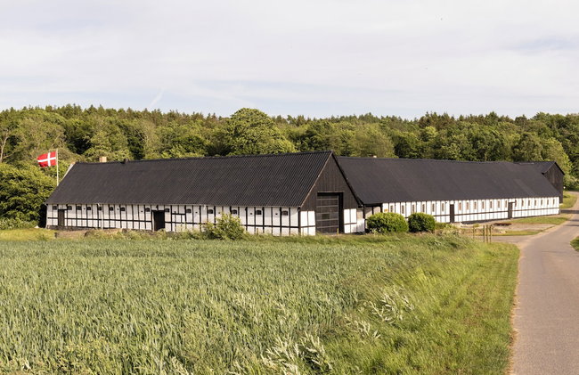 Lehnsgaard Ranch - Foto 1