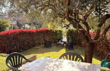L'Olivo nel Chianti - Photo 24