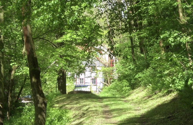Chic Apartment in Thuringia With Sauna - Foto 60