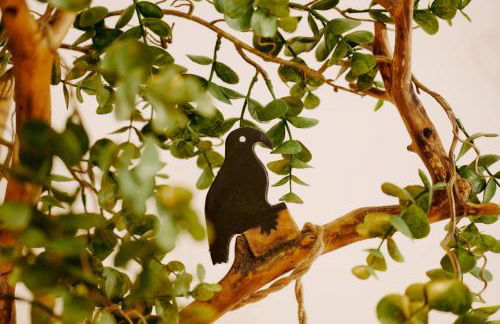 Rifugio dei Briganti - Foto 68