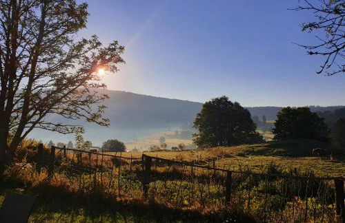 Gîte du Grand Cher - Foto 4