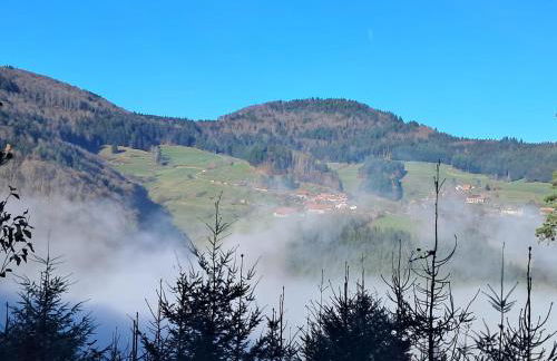 Ferienwohnung auf dem Bückle - Foto 19