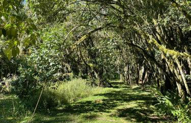 Memora Guesthouse Bateias - Casa Inteira e quartos em chácara - Photo 75