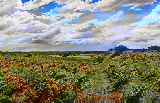 Posada Real del Buen Camino - Foto 56