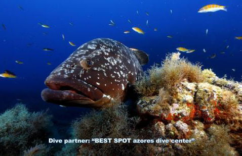 Green & Blue 3 Bedrooms - Photo 52