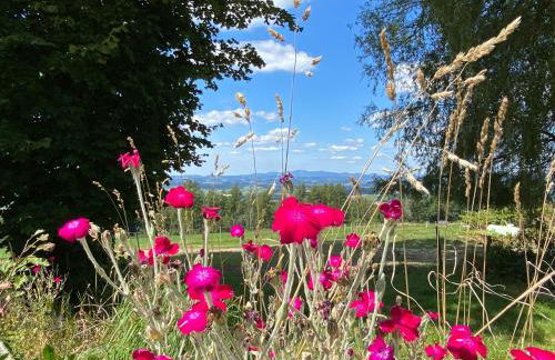 Berg-Panorama-Ferienwohnungen Gut-Lichtenau - Foto 72