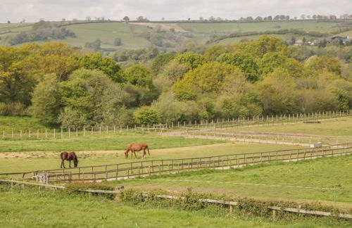 Sunnyside Lodge - Photo 27