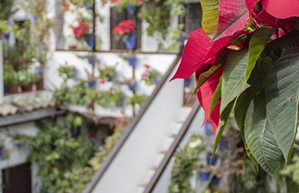 Accommodation Campanario de la Magdalena - Foto 16