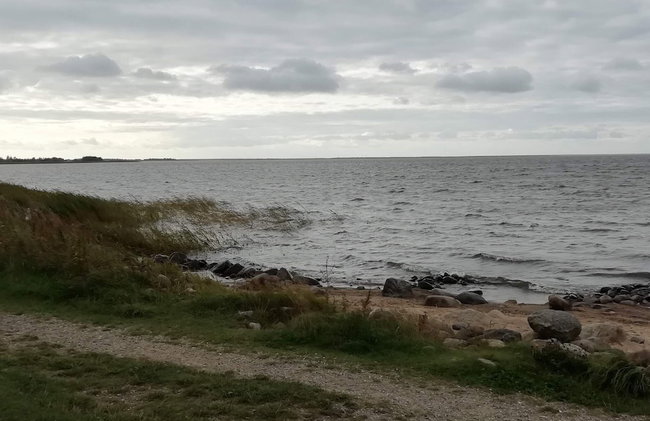 6 Person Holiday Home in Ulfborg - Foto 36