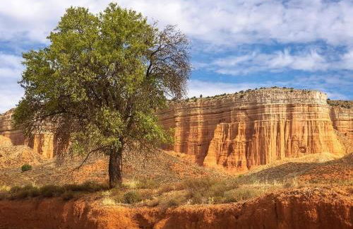 Balcondel Turia - Foto 15