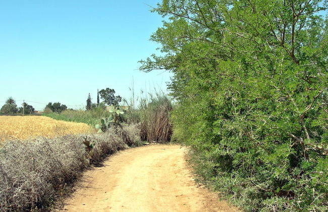 Le Jardin aux Etoiles - Foto 49