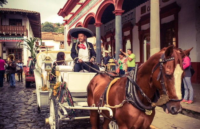 Beautiful Cabin Downtown Tapalpa Oven Mud Barbecue Grill 4 Room 12 ppl TV Wifi - Foto 77