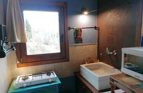 Els Pins d'Abella - Foto 12