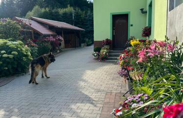 Mr. Sowa Sokolec - Foto 36