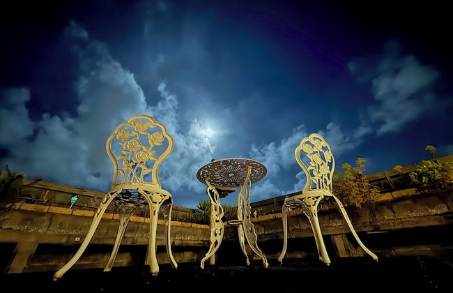 ANGO ISHIGAKIJIMA1 - Foto 51