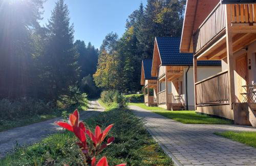 Domki Zew Natury - Foto 7