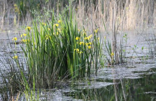 Le refuge de Chambord - Photo 26