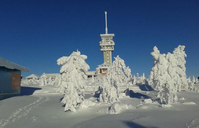 Chalet in Ore Mountains Near Ski Slopes - Foto 39