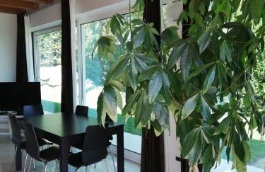 Villa Belvedere degli Ulivi - Foto 66