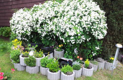 Gästehaus Guter Stern - Foto 21