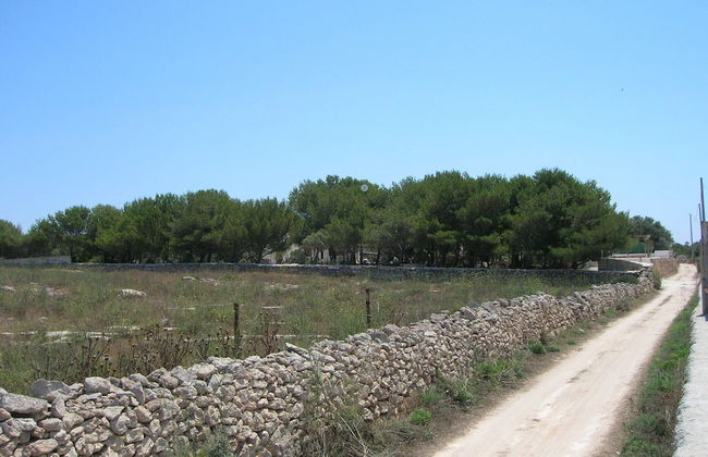 Room in House - Magical Holidays in a Dammuso in Favignana Nestled in a Wonderful Pine Forest - Photo 11